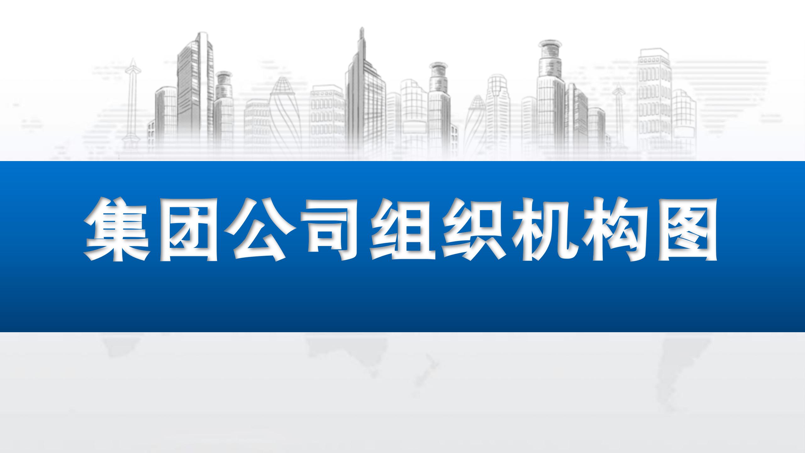 大中集团组织机构图